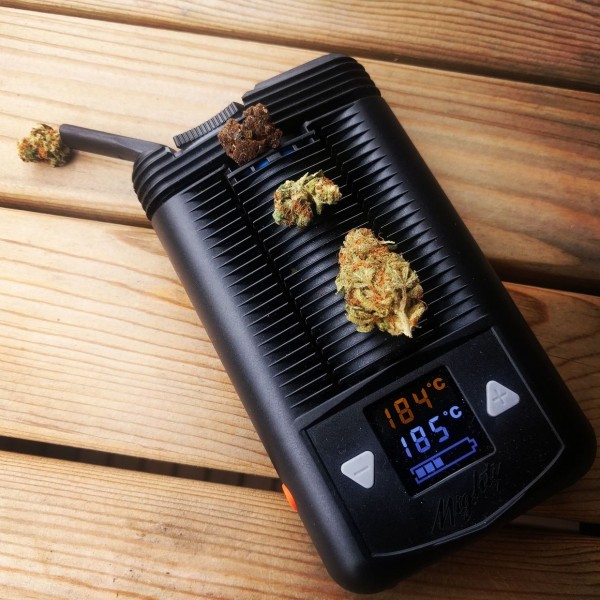 Mighty Dry Herb Waxy Concentrates Portable Vaporizer free shipping