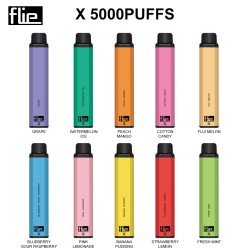 Original FLIEVAPE X Rechargeable Disposable Vape Device 5000puffs 1500mah (free shipping)