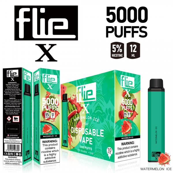 Original FLIEVAPE X Rechargeable Disposable Vape Device 5000puffs 1500mah (free shipping)