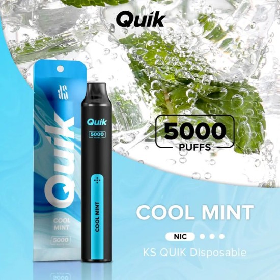 Original KS Quick Rechargeable Disposable Vapes 350mAh 5000puffs (free shipping)