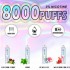 Original Music Rechargeable Disposable Vape Pen Device 650mAh 8000puffs (free shipping)