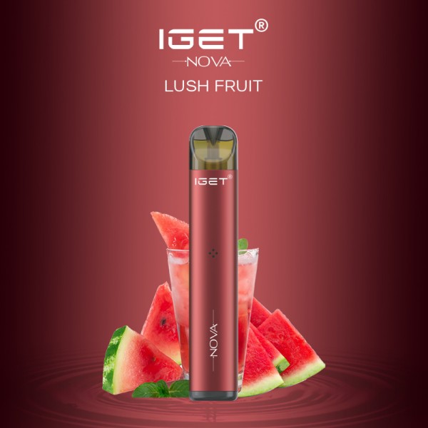 Wholesale Original IGET Nova Rechargeable Pre-filled Closed Vape Kits 500puffs 350mah (free shipping)