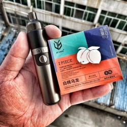 Original JS Vape Aurorax Cloud Chasing Steel Cannon Pre-filled Refillable MTL Pod Kit 2200mah free shipping