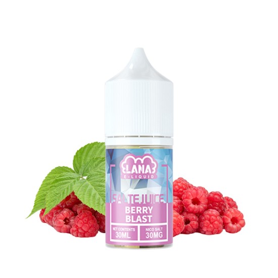 Original LANAVAPE Nic Salt E Liquid E Juice Vape Juice 30mg 30ml (free shipping)